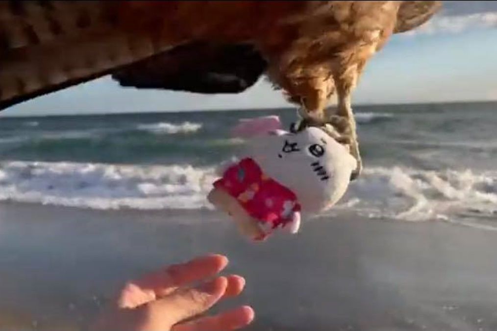 ขโมยตุ๊กตา