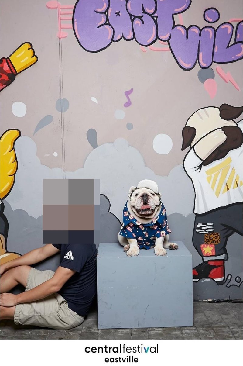 เบียร์ เดอะวอยซ์ แฟนเก่า