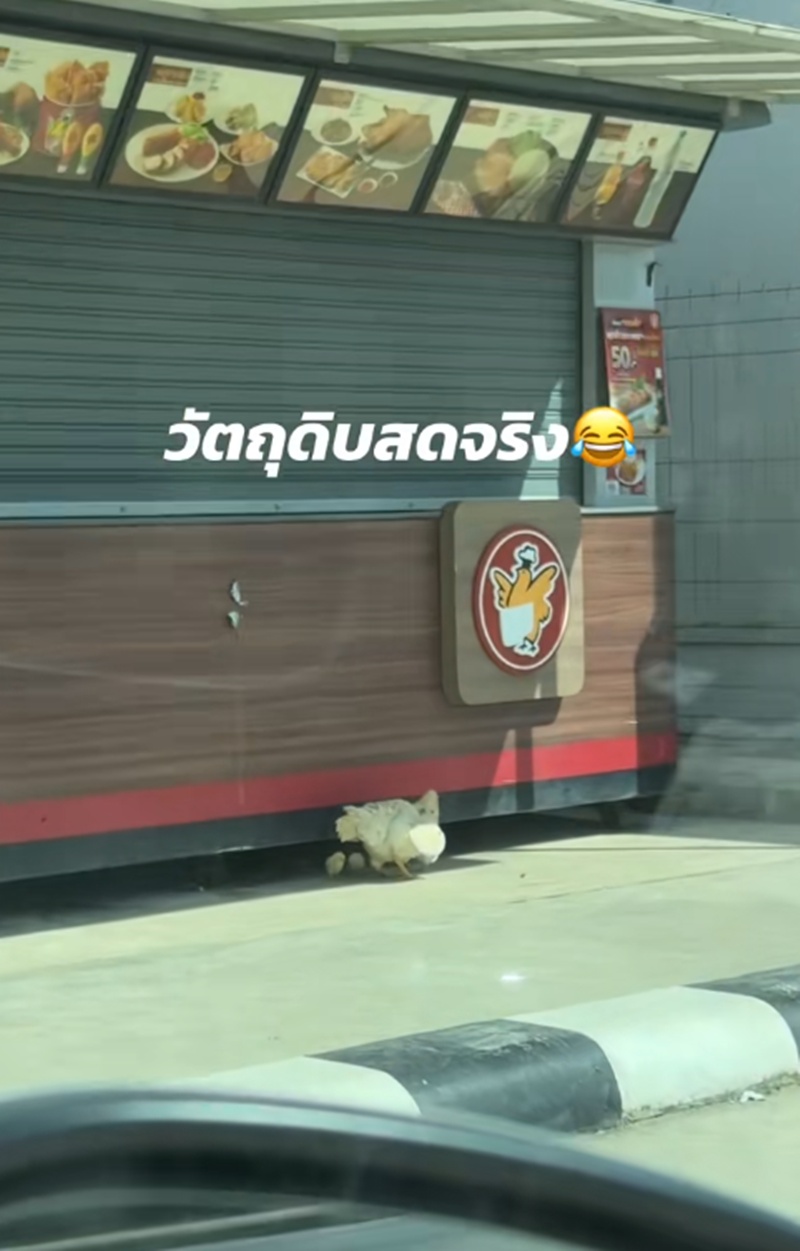 ร้านขายไก่