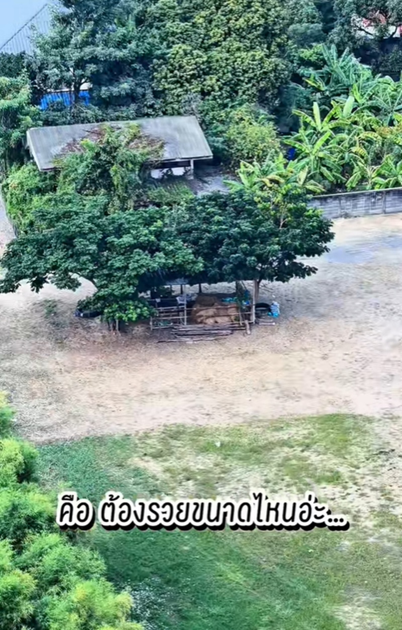 ลาดพร้าว