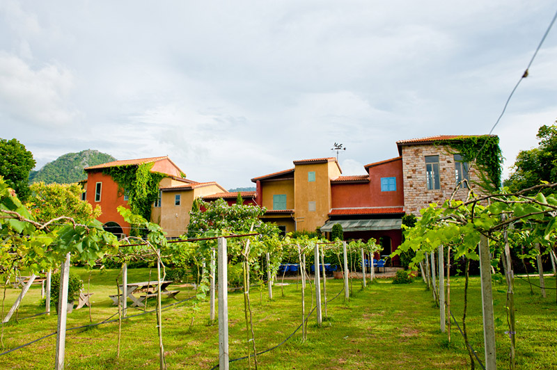 ที่เที่ยววันแม่ 