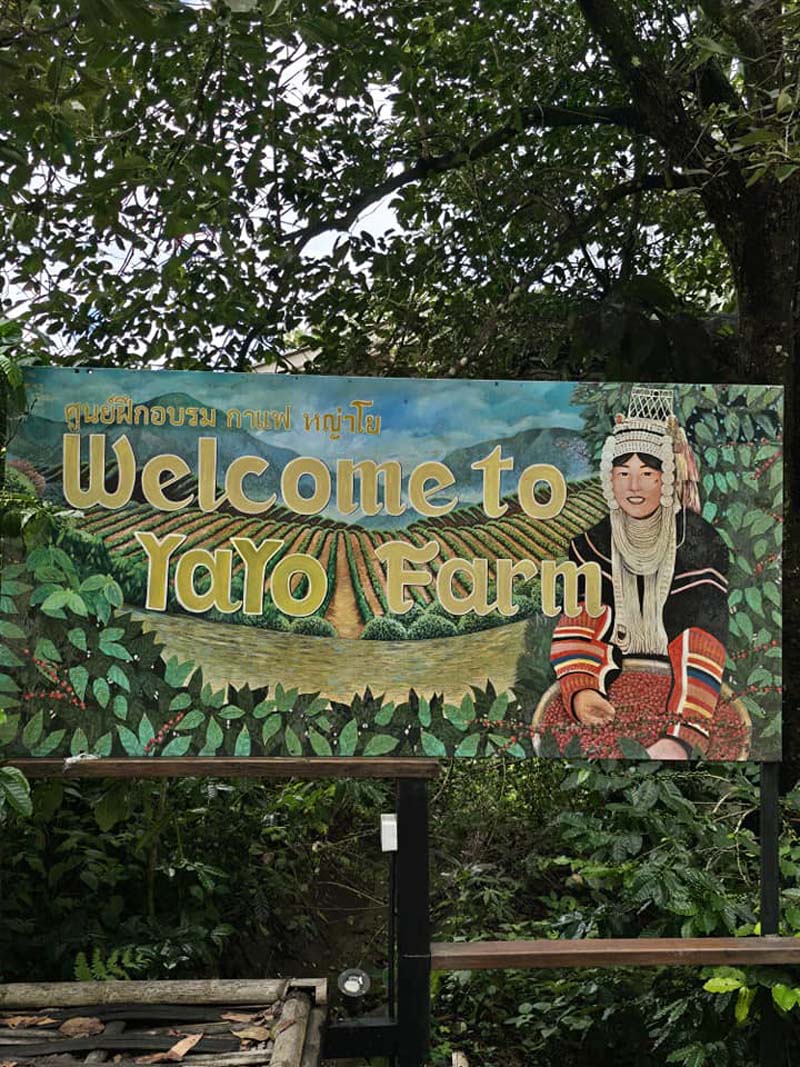 YAYO FARM ร้านกาแฟดอยช้าง จ.เชียงราย