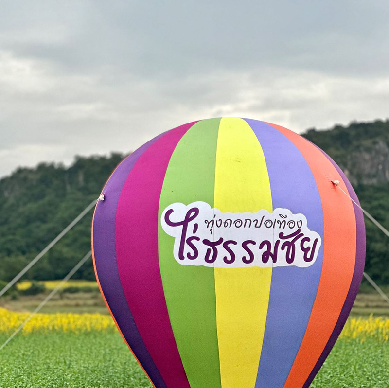 ทุ่งดอกปอเทืองไร่ธรรมชัย 2568 ตากฟ้า นครสวรรค์