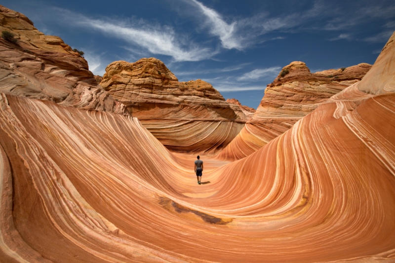 The Wave