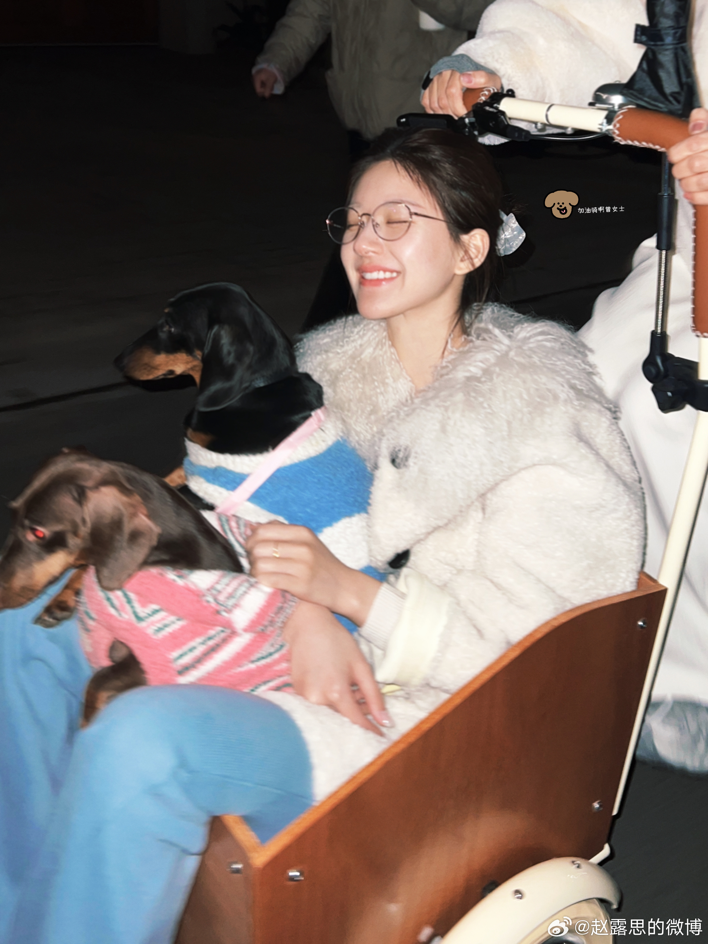 จ้าวลู่ซือ