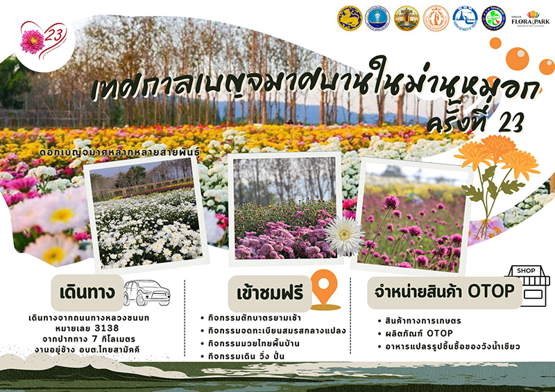 ที่เที่ยวเดือนกุมภาพันธ์ 2568 งานเบญจมาศบานในม่านหมอก จังหวัดนครราชสีมา