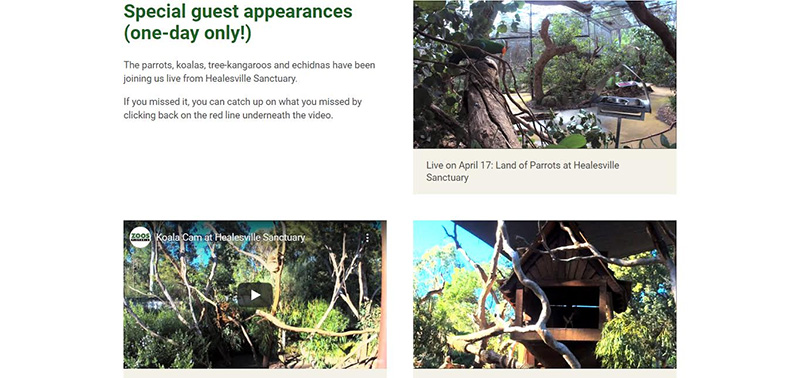 สวนสัตว์ออนไลน์