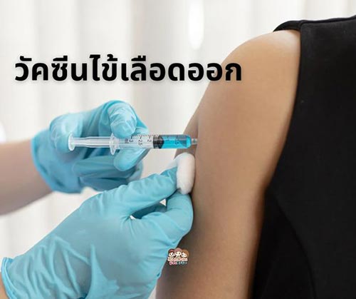 วัคซีนไข้เลือดออกชนิดใหม่