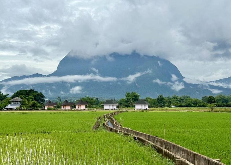 ที่พักวิวทุ่งนา 2568 บ้านผ่อดอยกอยดาว
