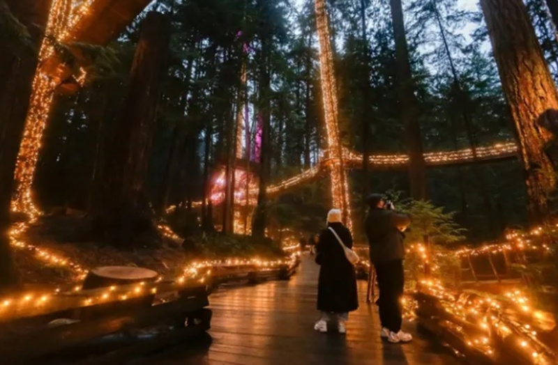 สะพานแขวน