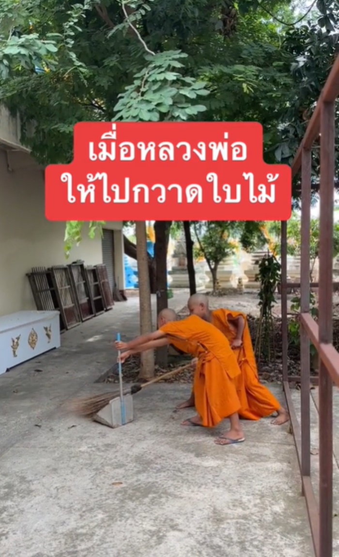 กวาดใบไม้