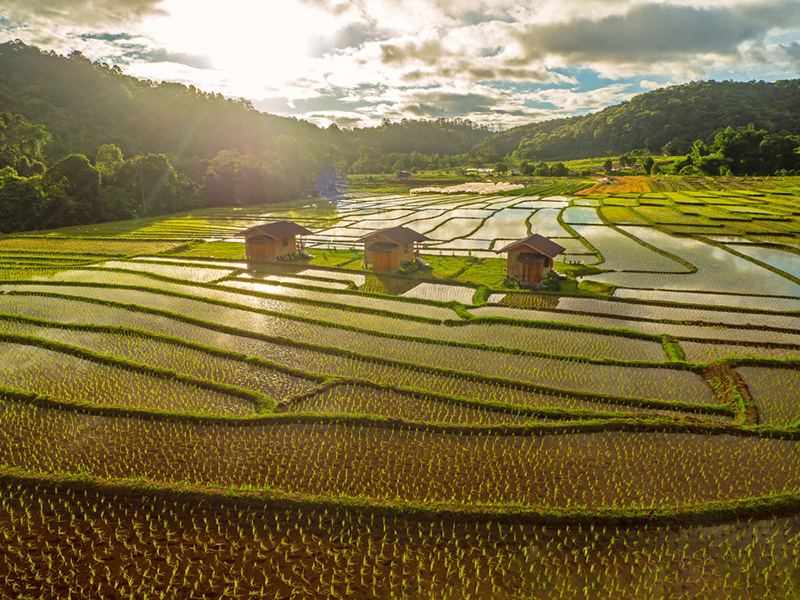 นาข้าวขั้นบันได 2565