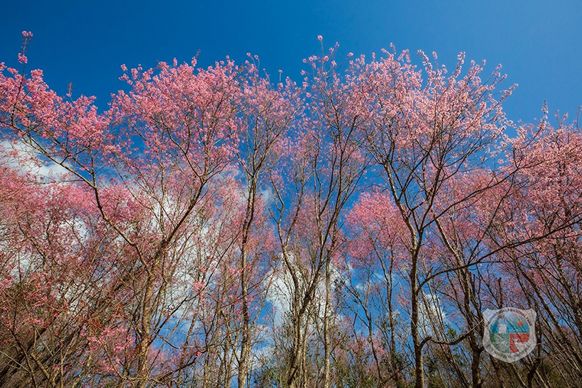 ภูลมโล 2569