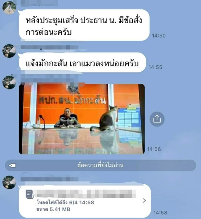 แมวมักกะสัน