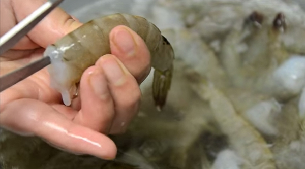 เมนูกุ้งสด