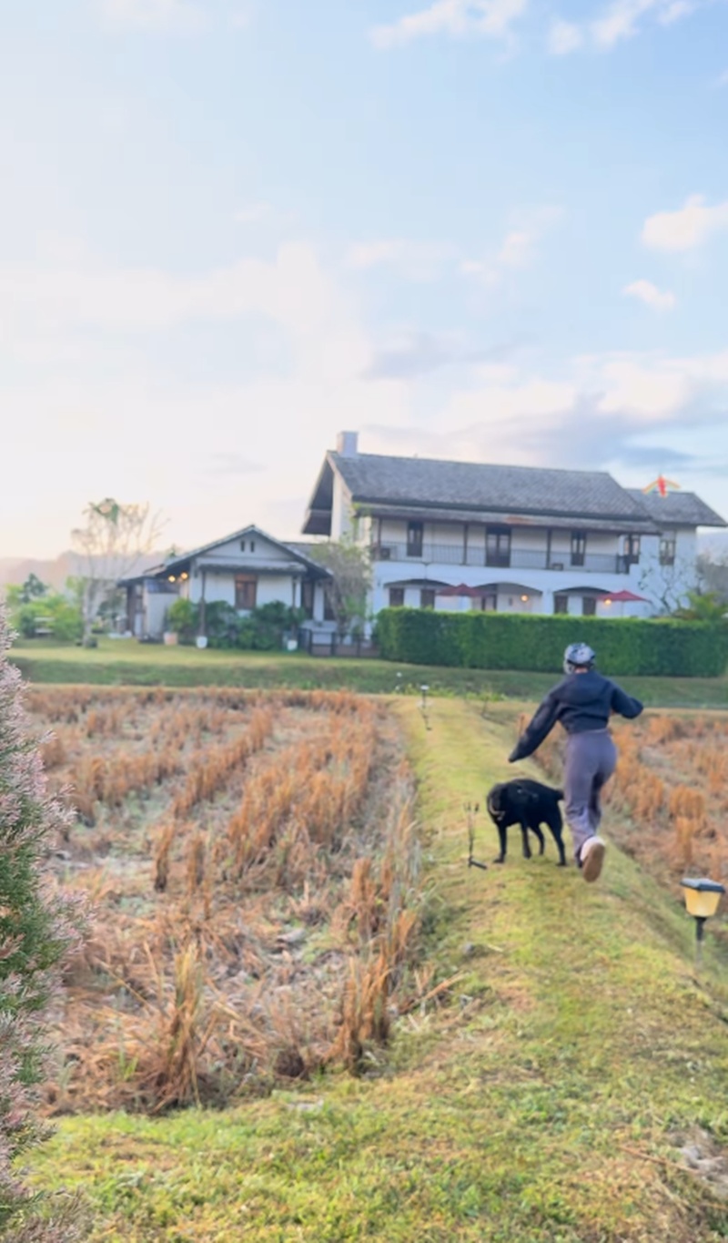 แอน ทองประสม