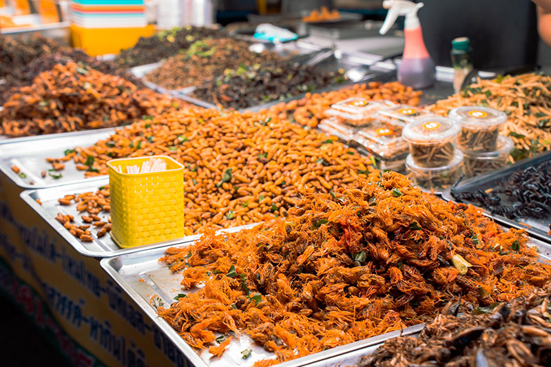 งานเชียงรากแฟร์ ของกิน