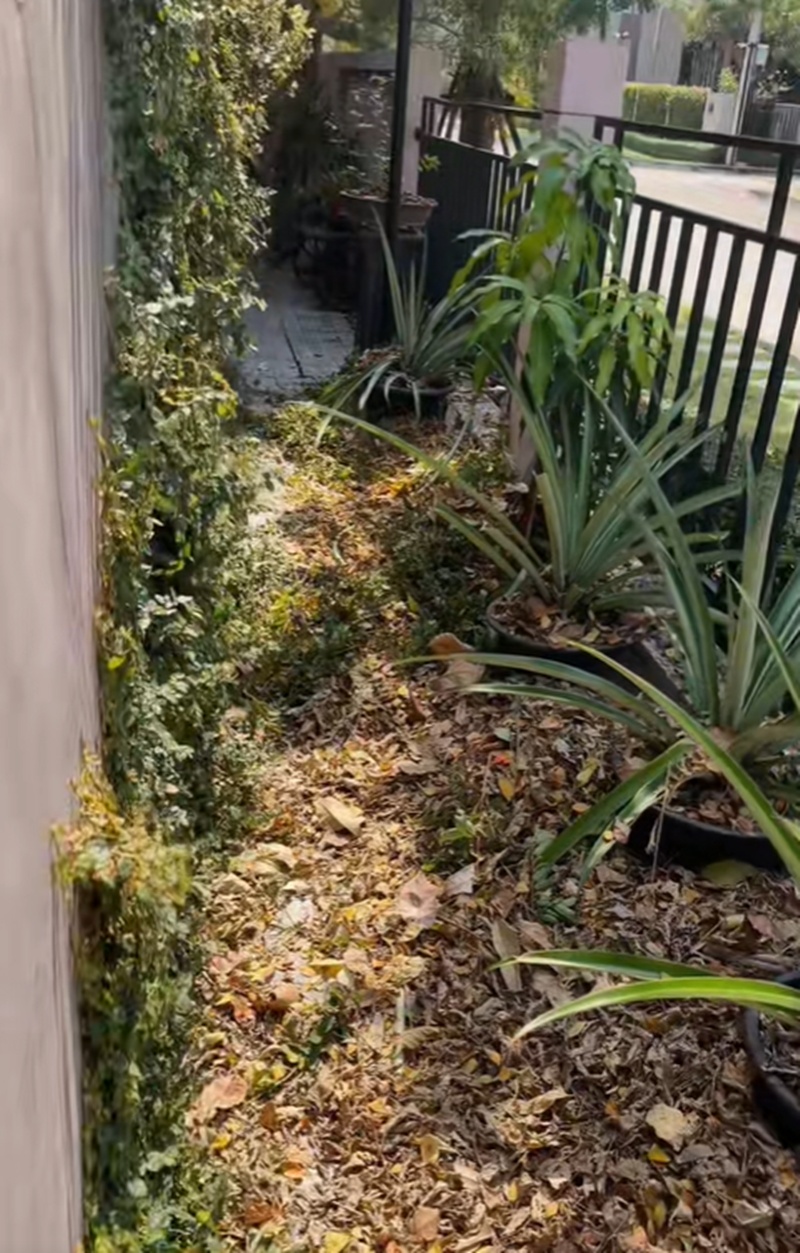 บ้านจ๊ะ นงผณี