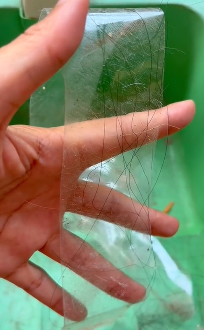 ไม้กวาดดูดฝุ่น