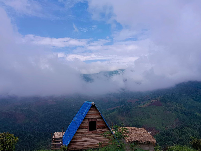 ดอยแม่มอญ เชียงราย