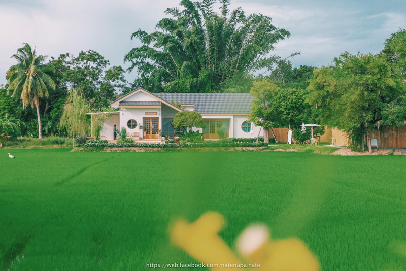 บ้านชั้นเดียว