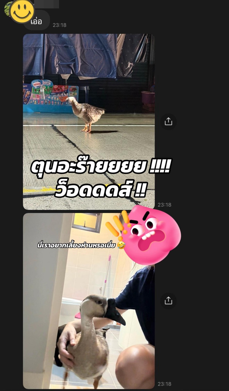 ตุนเสบียง