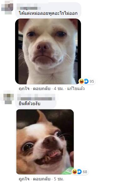 ลูกหมี วันนาบีหมี My Mate Nate