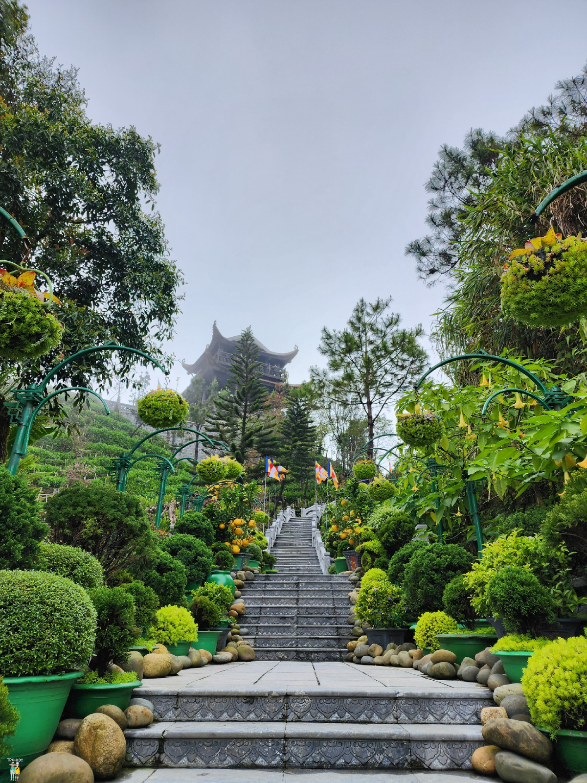 บานาฮิลล์