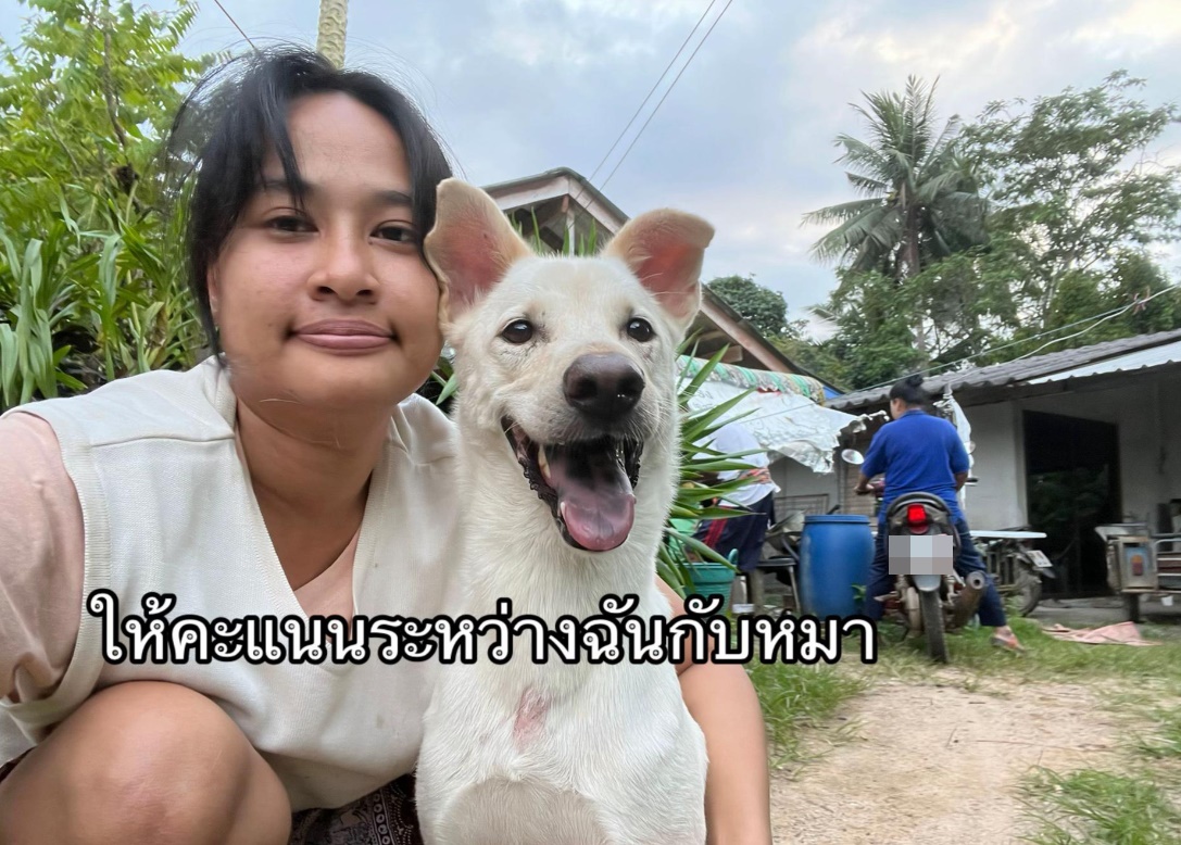โดนแตนต่อย