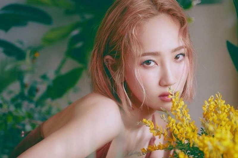 HA:TFELT