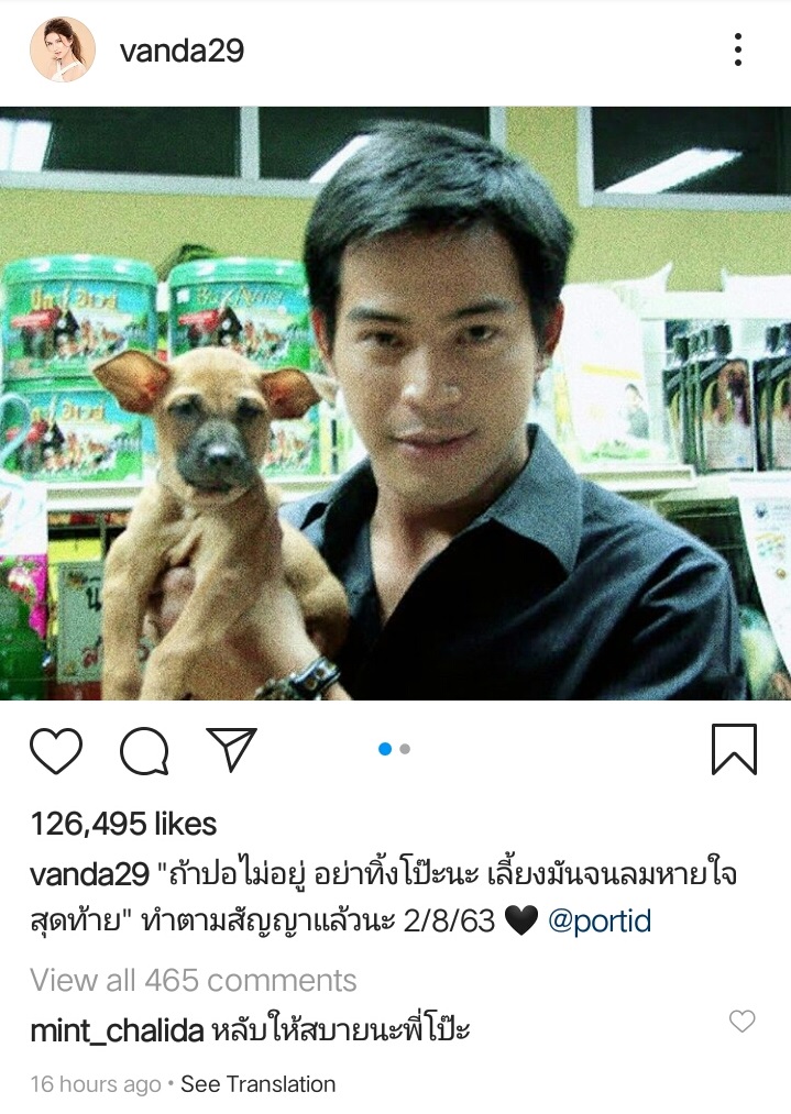 โบว์ แวนด้า