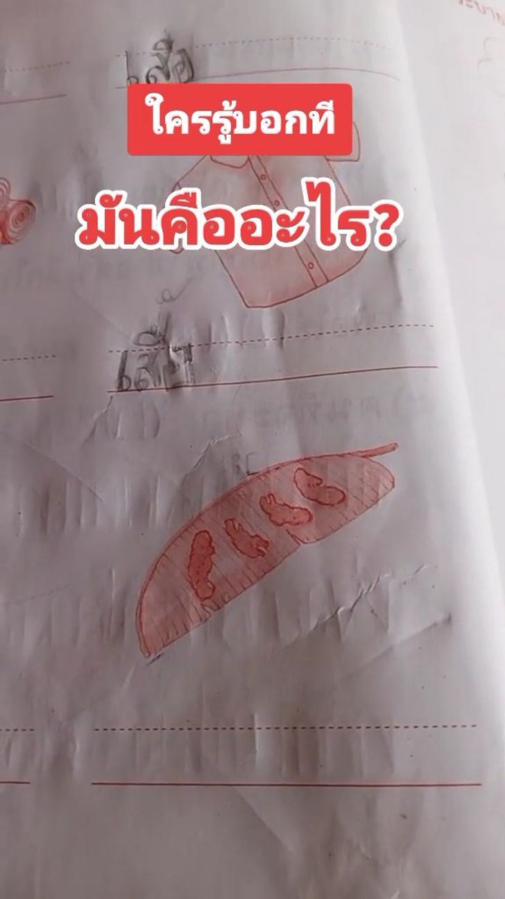 การบ้าน