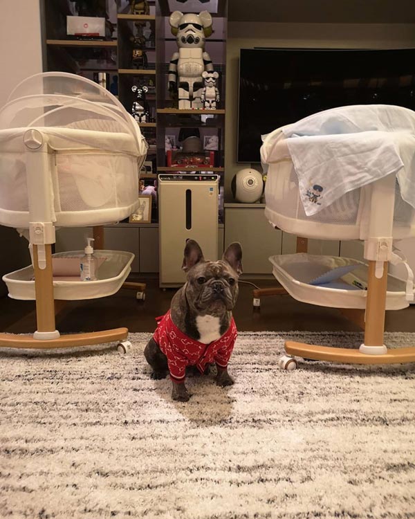 somkidthefrenchie