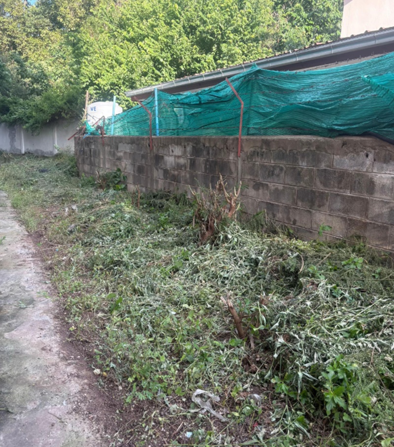 อยู่แฟลต