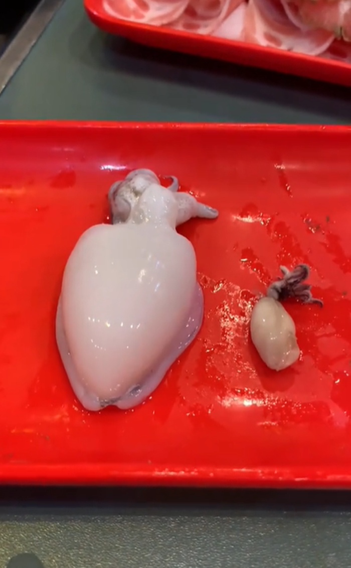 ปลาหมึก