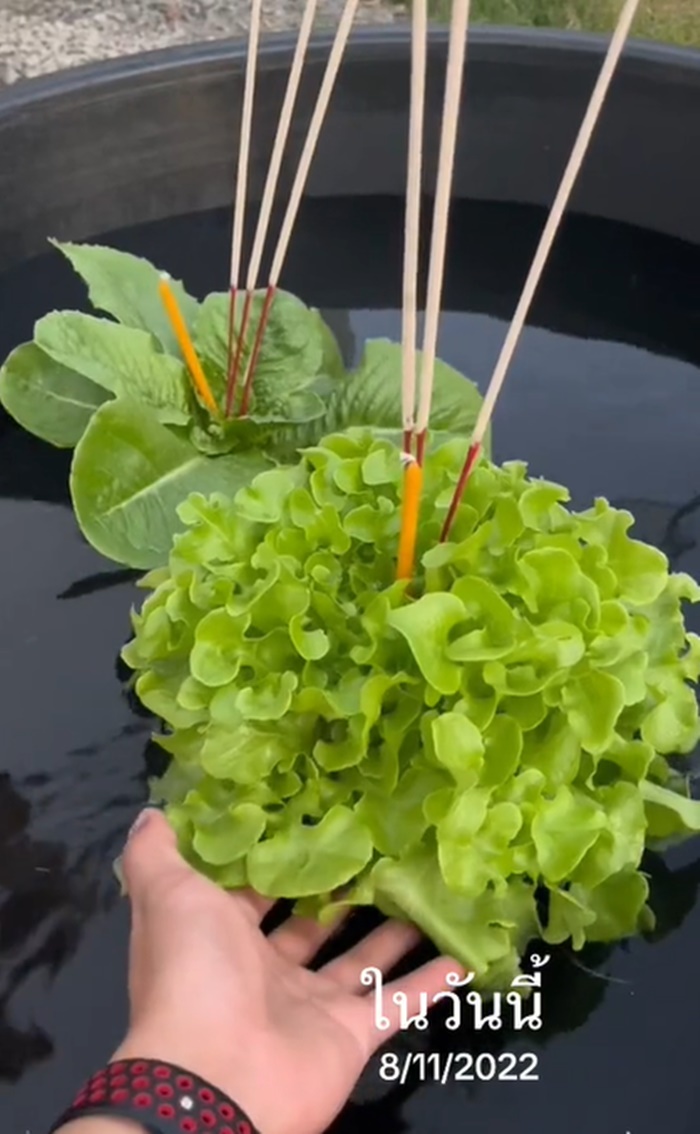 ไอเดียกระทง