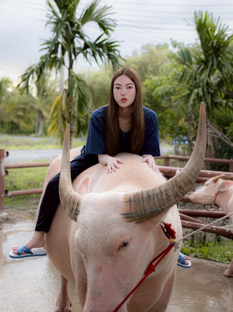 เอวา ปรวรรณ