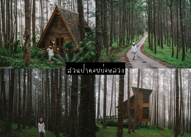 เที่ยวเชียวใหม่