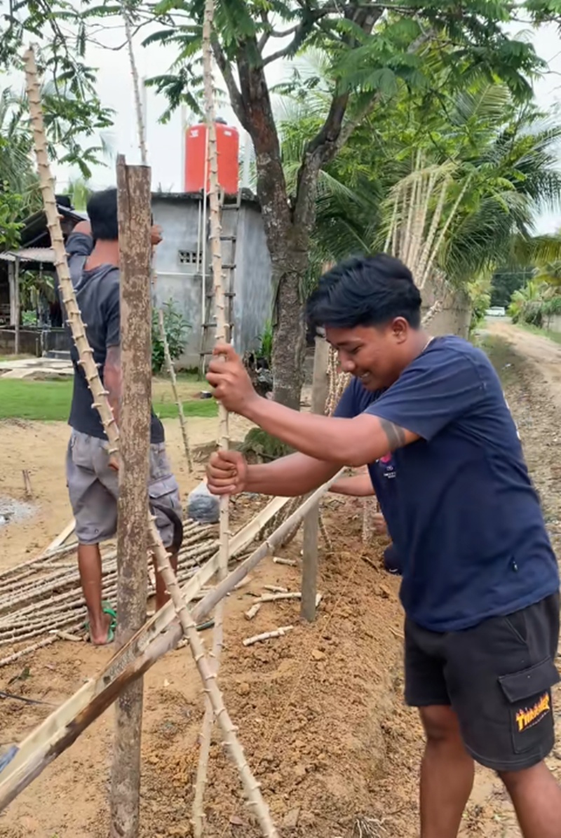 รั้วบ้าน