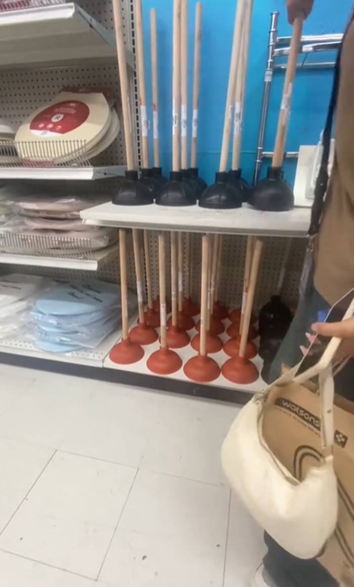 ที่ดูดชักโครก