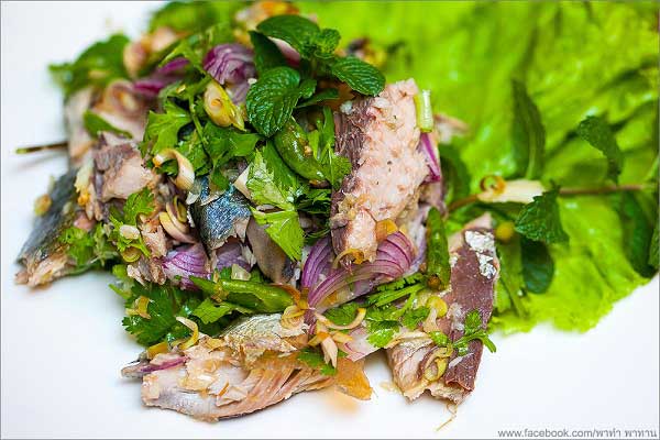 พล่าปลาทู