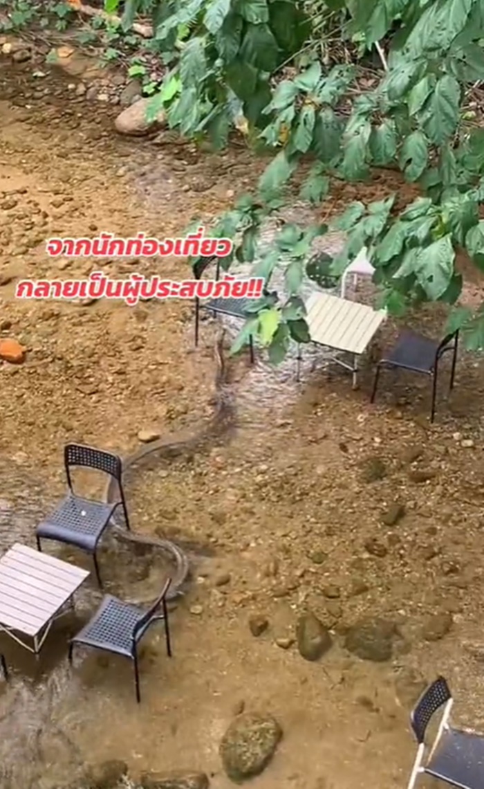 งูจงอาง