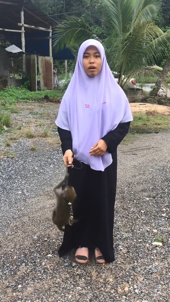 พรีเซ็นต์งาน