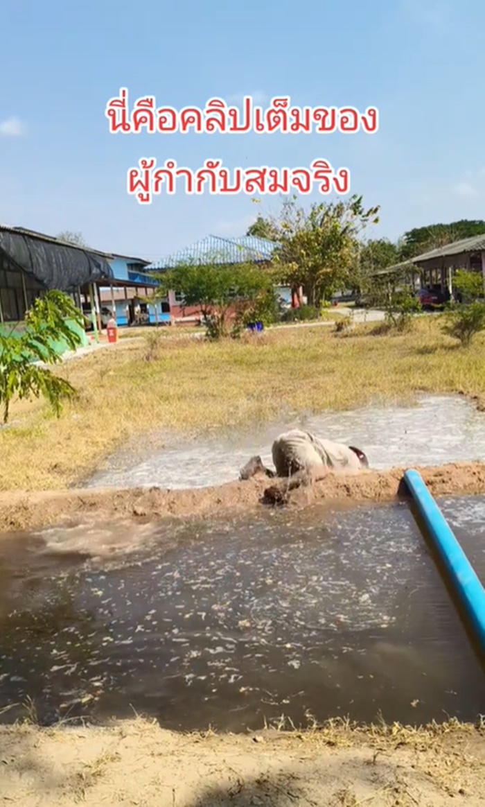 เล่นฐาน