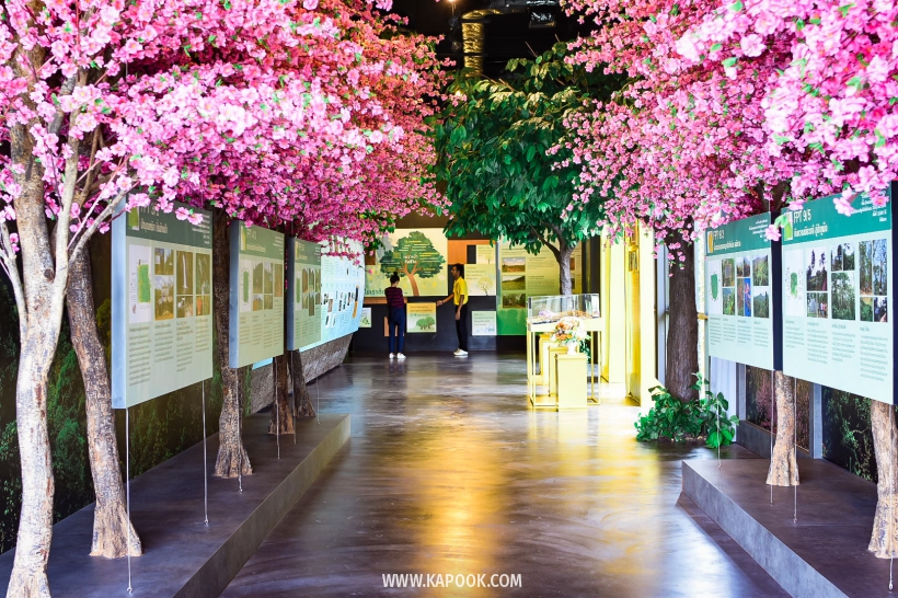 วังจันทร์ ระยอง