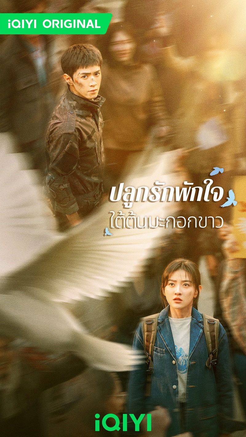 ปลูกรักพักใจใต้ต้นมะกอกขาว The White Olive Tree นักแสดง