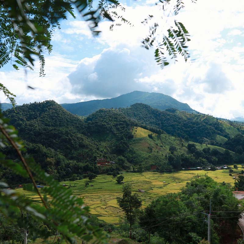บ้านเวร ทรี วิว วิว