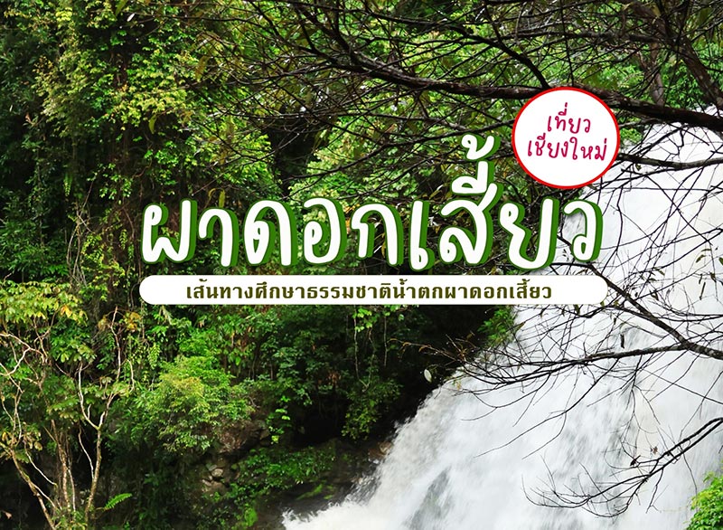 เส้นทางศึกษาธรรมชาติผาดอกเสี้ยว