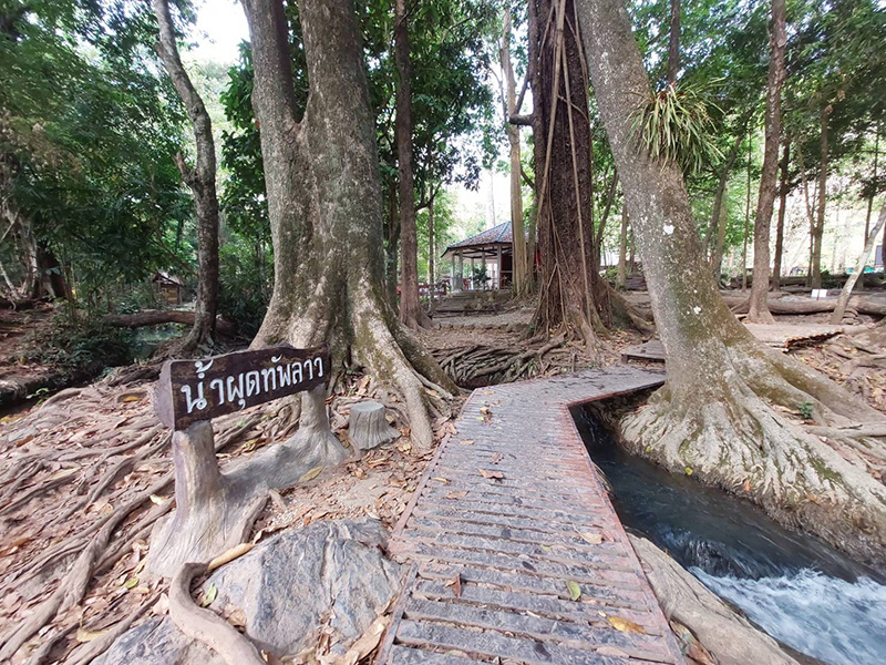 สวนรุกขชาติน้ำผุดทัพลาว ที่เที่ยวอำเภอคอนสาร