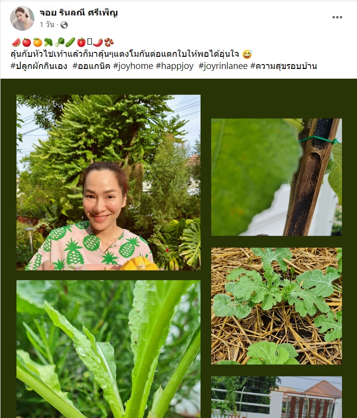 จอย รินลณี 